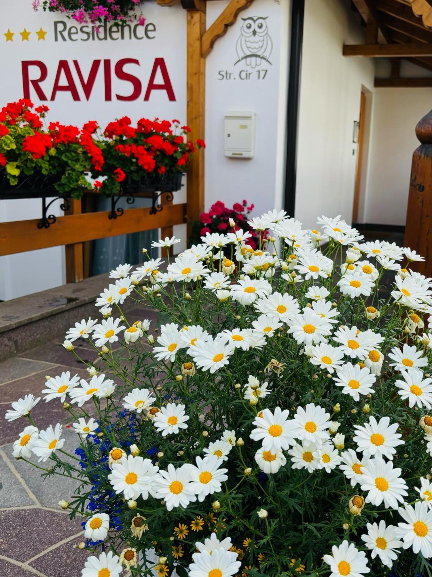 Residence Ravisa Dolomites Sëlva di Val Gardena Eksteriør billede